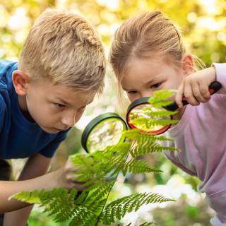 Biologická olympiáda - okresné kolo